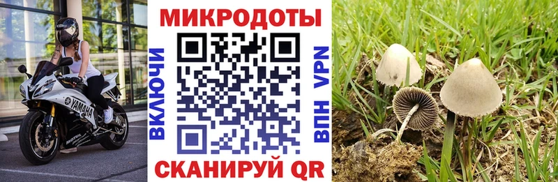 наркотики  Чегем  Галлюциногенные грибы мухоморы 